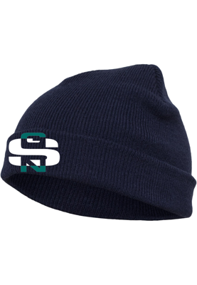 Beanie Unisex, Tinte